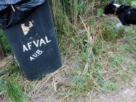 Wita en Wieke rashonden?