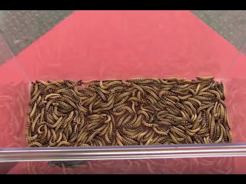 Made for Each Other | Ep  61 - Onam Celebration in Malaysia | Mazhavil Manorama