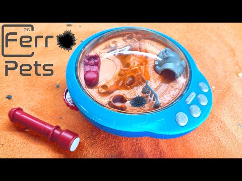 Dear Humans: Meet Ferro Pets!