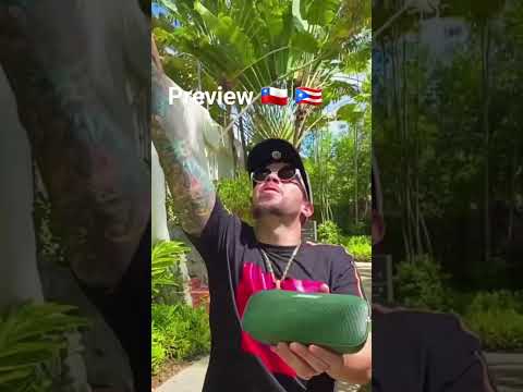 PRIVADO REMIX - Lucky Brown ft De la Ghetto Preview