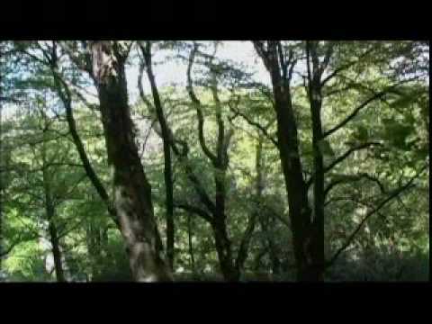 Blüchel & von Deylen  -   Gymnopedie No 1