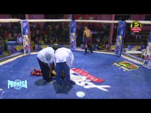 Gren Duarte VS Jose Herrera - Pinolero Mortal Kombat AMM