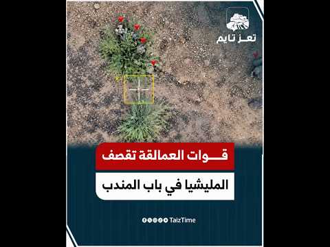 Yemeni Windows Media