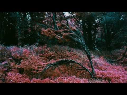 Pure Bathing Culture: Dream the Dare