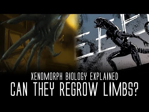 Can Xenomorphs Regenerate (Regrow) Limbs? - Xenomorph Biology Explained