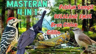 Download lagu MASTERAN 4 IN 1 TEMBAKAN BELALANG EMAS, PELATUK, BREN CIBLEK, CILILIN mp3 Download lagu MASTERAN 4 IN 1 TEMBAKAN BELALANG EMAS, PELATUK, BREN CIBLEK, CILILIN mp3