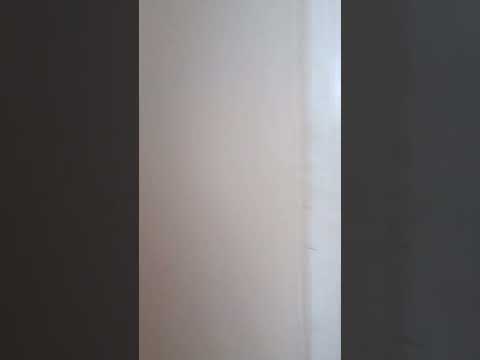 2528 W Wells St. - Video 2 of 2