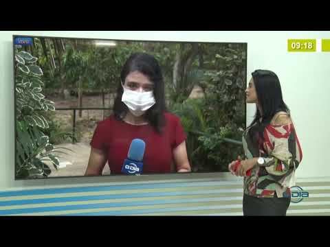 Cuidados que moradores devem ter com poda de árvores durante período chuvoso 13 01 2021