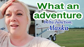 WE FOUND COWS in ALASKA | Violett Vlogs