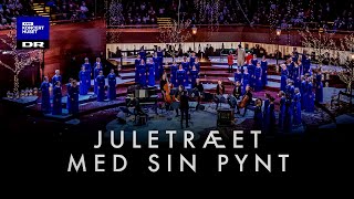 Juletræet med sin pynt / DR Pigekoret (LIVE)