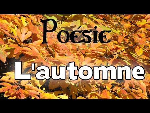 Poésie 🍁 L'automne de Lucie Delarue-Mardrus 🍁
