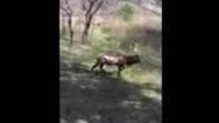 Son deer hunting on Ft. Sill, OK