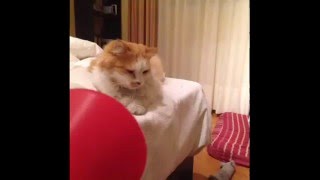 When the Tornado sirens sound off