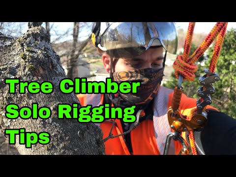 Solo Rigging Tips for Tree Work | Arborist Rigging Techniques
