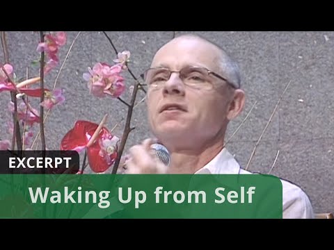 Waking Up from Self (Excerpt)