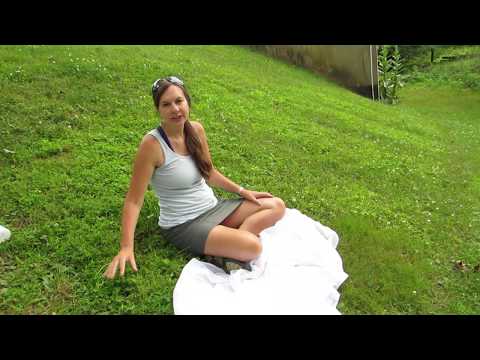 Ms. M's Summer of Bugs: Use a White Sheet to See Bugs