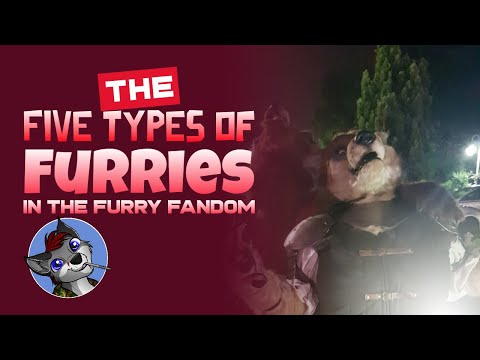 The Five Types Of Furries In The Furry Fandom