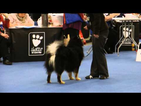 Helsinki Winner 11.12.2010