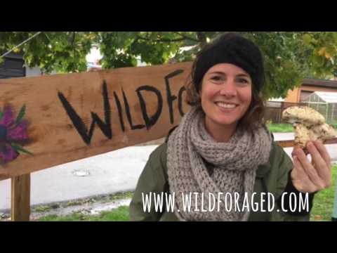 Brewing Chaga Mushroom Tea