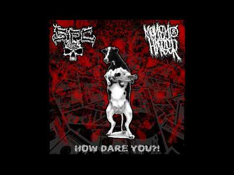SxFxCx / Money Hater - Split [2017]