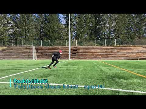 Juoksun ja reaktioharjoite