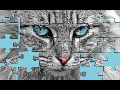 Big puzzles with cats