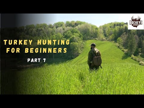 Turkey Hunting Strategy for Beginners - Hunting Commentary