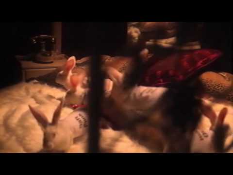 MTV Breeding Farm - A new breed of music