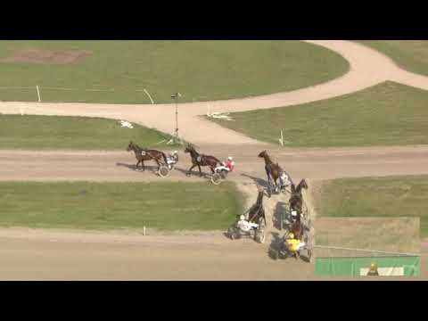 Preis vom Grand Prix - Velten Von Flevo (Hugo Langeweg jr.)