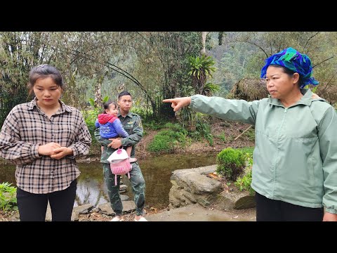 Harvesting cauliflower for sale - the feud between me and my husband stems from my cruel mom-in-law.