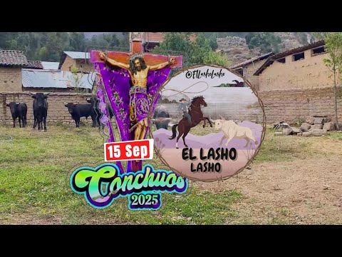 Fiesta del 𝓢𝓮𝓷̃𝓸r 𝓭𝓮 𝓵𝓪𝓼 𝓐́𝓷𝓲𝓶𝓪𝓼 2025