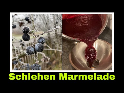 Sloe jam recipe | Sloe jam and jelly | Self-sufficiency: Blackthorn