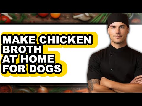 How To Make Chicken Broth At Home For Dogs (Full Guide)