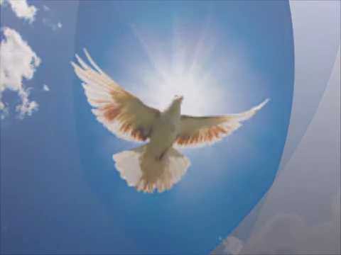 Música de cura  -  A healing gift to humanity