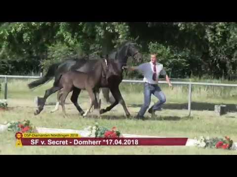 KN 57: SF von Secret / Domherr