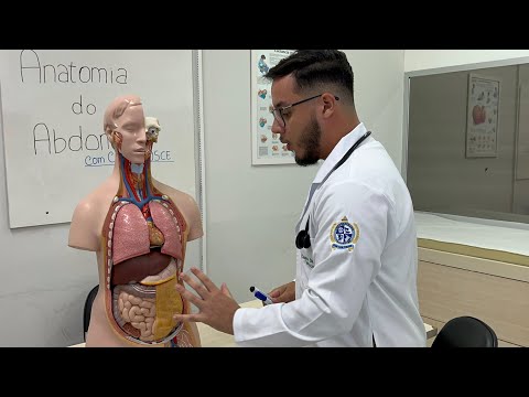 Physical examination of the abdomen - Preparation and Regions of the Abdomen