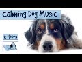 Over 2 Hours Of Calming Music For Dogs Perfect For During Storms Or Separation Anxiety Sufferers