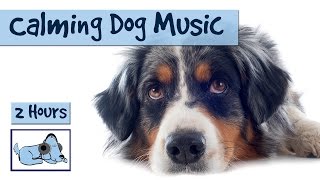 Over 2 Hours of Calming Music for Dogs. Perfect for during Storms or Separation Anxiety Sufferers