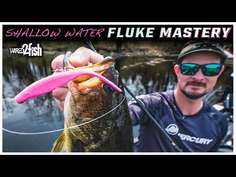 4 Tips for Fluke Fishing in Ultra-Shallow Water