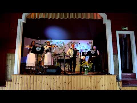 Virventa @ Wiinit Pelimannit