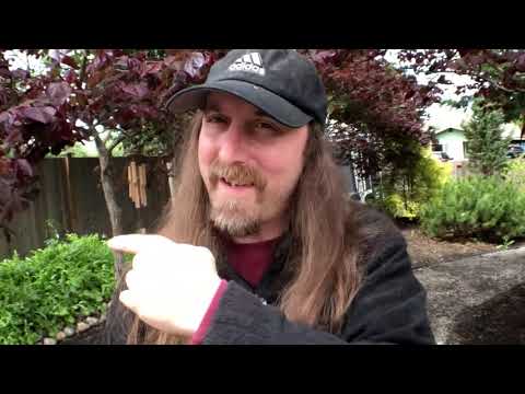 EMULSIO Stabilization App