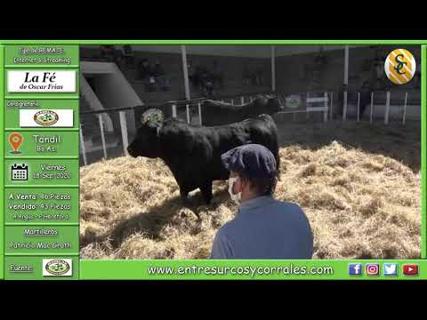 18-09-20 - Remate de Cabaña La Fé de Oscar Frías - Consignataria Madelan - Tandil (Bs.As.)