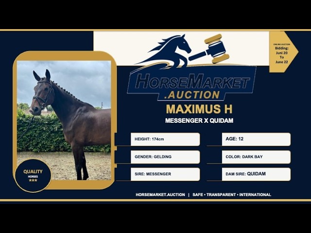 Maximus H outdoor showvideo