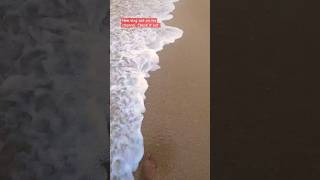 #youtubecreatorcommunity #beachvibes #newpost