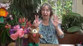 A mosquito one - a counting game from Guyana