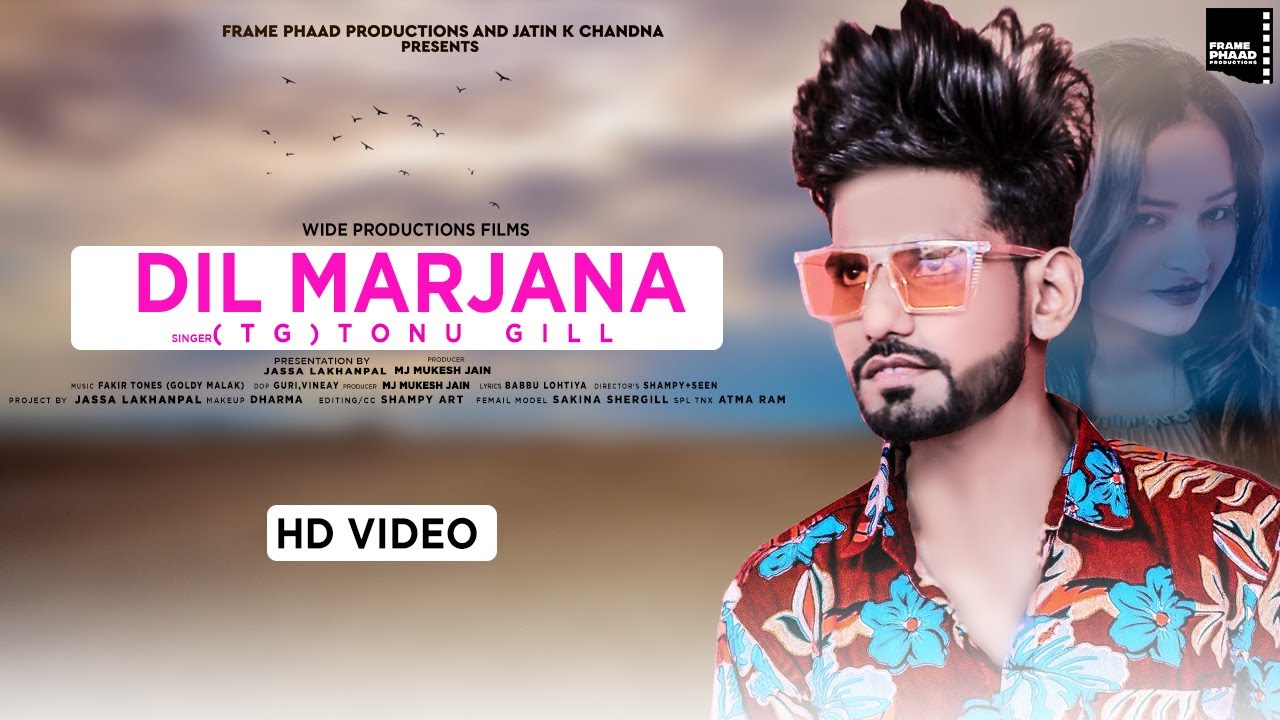 Dil Marjana Lyrics - Tonu Gill ~ LYRICGROOVE