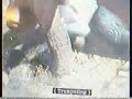 Dinosaur 2000 Aladar VHS