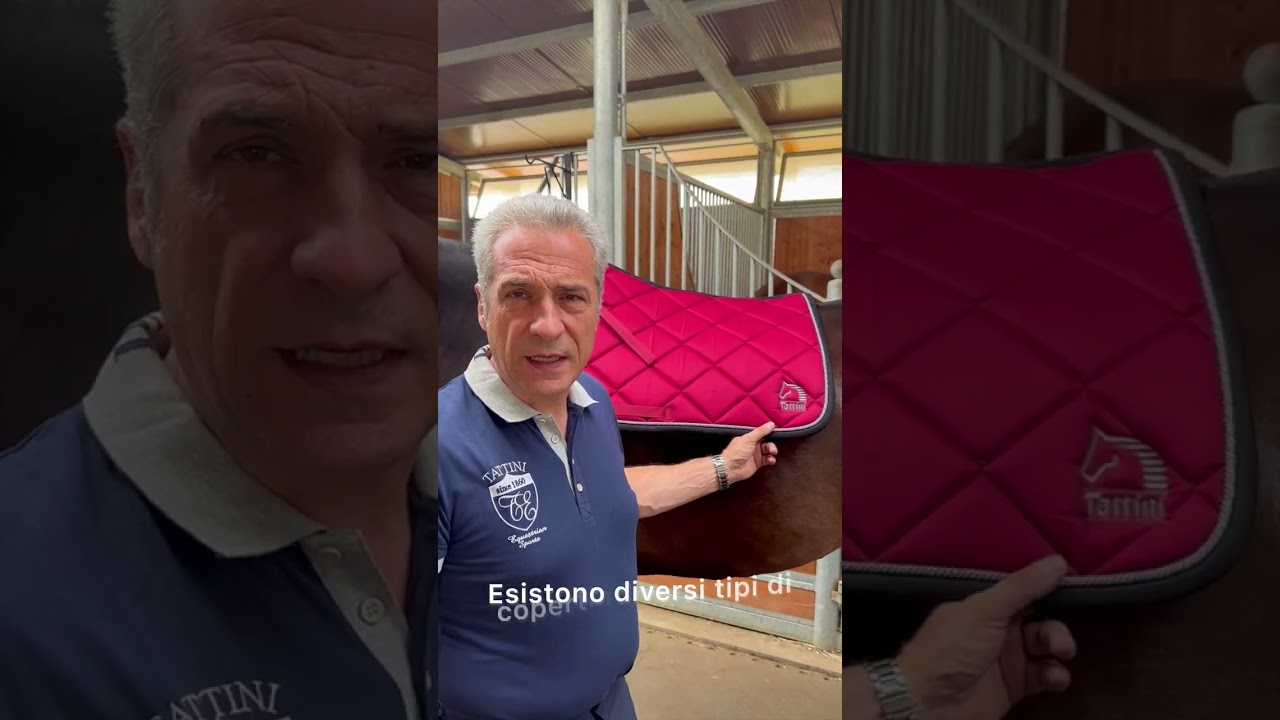 École d'équitation Tattini - la sellette