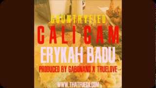 Erykah Badu - Southern Gul (gabonano remix)
