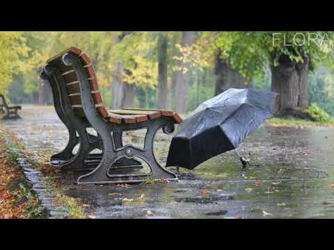 Melodic Brothers & Bryan Milton feat. Natune — Lethargy